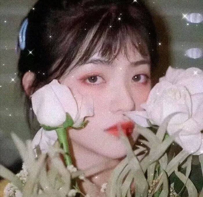 小鬼爱神驹
